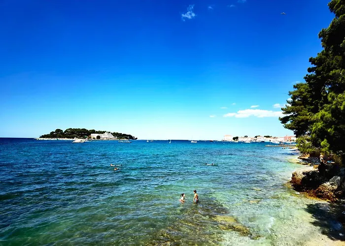 Apartamento Maneo Lux